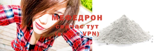 индика Бронницы