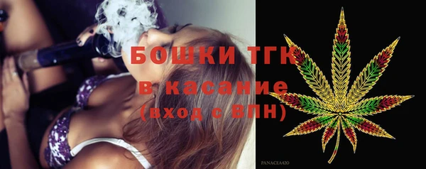 индика Бронницы