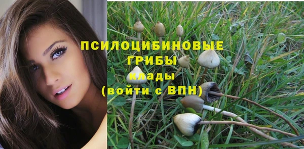 mix Бородино