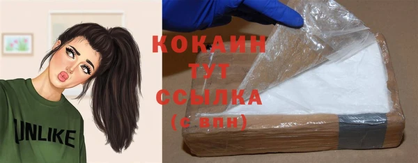 mix Бородино