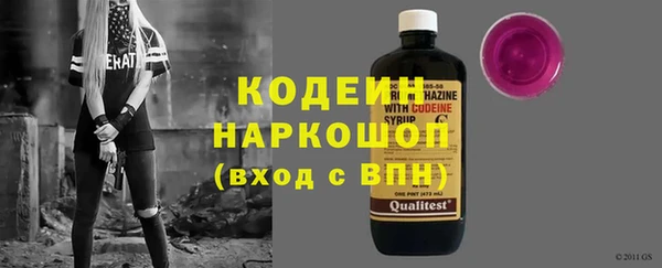 индика Бронницы