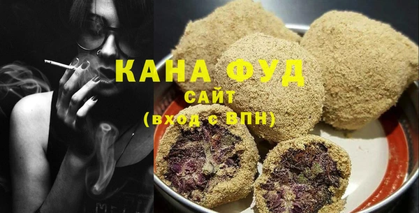 индика Бронницы