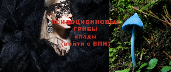 ГАЛЛЮЦИНОГЕННЫЕ ГРИБЫ Бугульма