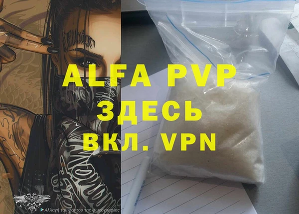 индика Бронницы