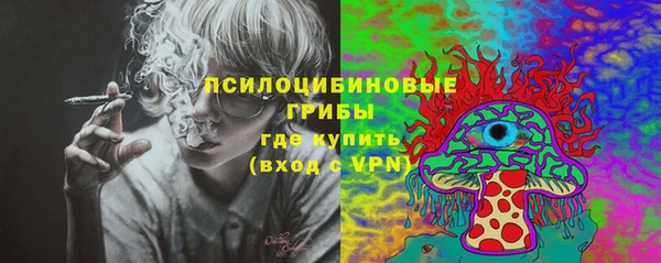 ГАЛЛЮЦИНОГЕННЫЕ ГРИБЫ Бугульма