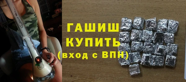 индика Бронницы