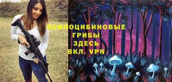 индика Бронницы