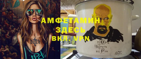 индика Бронницы