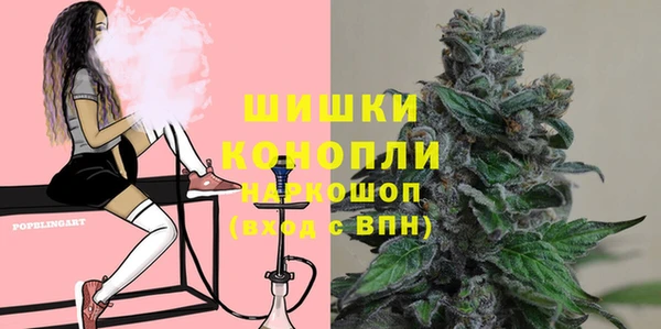 индика Бронницы