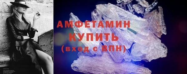 индика Бронницы