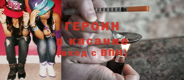 индика Бронницы
