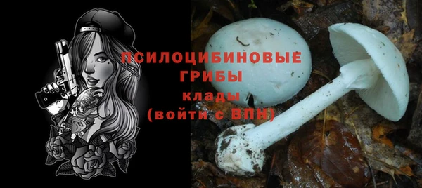 индика Бронницы
