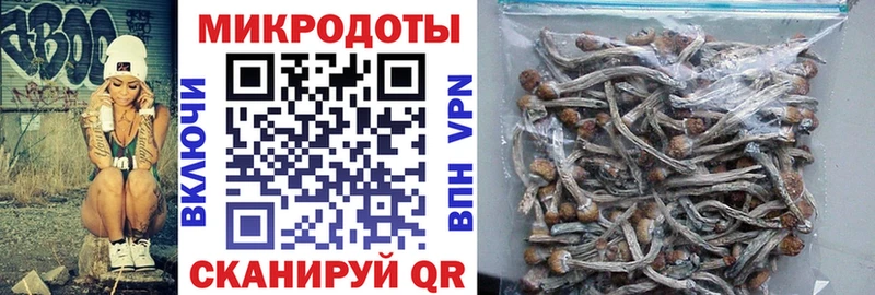где купить   мега tor  Псилоцибиновые грибы Psilocybe  Волоколамск 